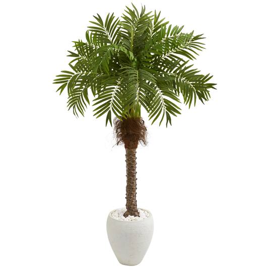 5ft. Robellini Palm Tree in White Planter